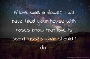 If love was a flower, I will have filled your house with roses know that love is about kisses what should I do