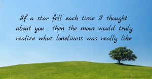 If a star fell each time I thought about you , then the moon would truly realize what loneliness was really like .