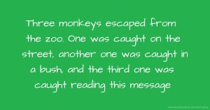 Three monkeys escaped from the zoo. One was caught on the street, another one was caught in a bush, and the third one was caught reading this message