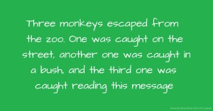 Three monkeys escaped from the zoo. One was caught on the street, another one was caught in a bush, and the third one was caught reading this message