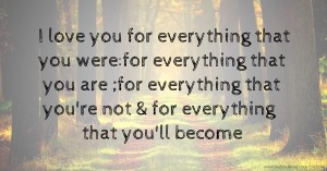 I love you for everything that you were:for everything that you are ;for everything that you're not & for everything that you'll become