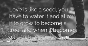 Love is like a seed, you have to water it and allow it to grow to become a tree, and when it becomes a tree cherish it forever.
