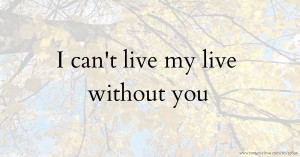 I can't live my live without you
