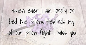 when ever l am lonely on bed the pillows reminds my of our pillow fight l miss you