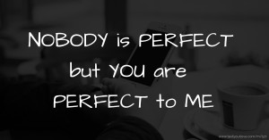 NOBODY is PERFECT  but YOU are PERFECT to ME