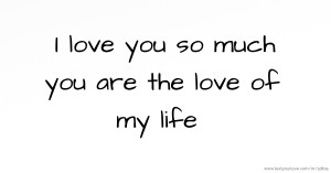 I love you so much you are the love of my life