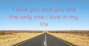 I love you and you are the only one i love in my life