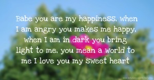 Babe you are my happiness, when I am angry you makes me happy, when I am in dark you bring light to me, you mean a world to me I love you my sweet heart.