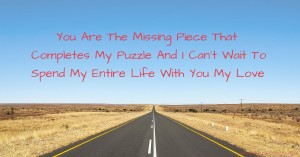 You Are The Missing Piece That Completes My Puzzle And I Can't Wait To Spend My Entire Life With You My Love.