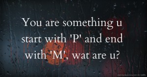 You are something u start with 'P' and end with 'M', wat are u?