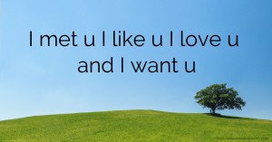 I met u I like u I love u and I want u