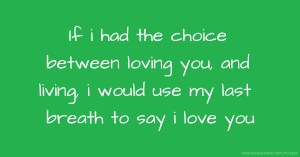 If i had the choice between loving you, and living, i would use my last breath to say i love you.