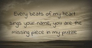 Every beats of my heart sings your name, you are the missing piece in my puzzle