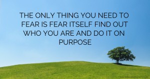 THE ONLY THING YOU NEED TO FEAR IS FEAR ITSELF FIND OUT WHO YOU ARE AND DO IT ON PURPOSE