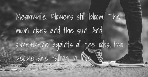Meanwhile. Flowers still bloom. The moon rises and the sun. And somewhere againts all the odds, two people are falling in love.