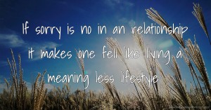 If sorry is no in an relationship it makes one fell like living a meaning less lifestyle