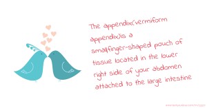 The appendix(vermiform appendix)is a small,finger-shaped pouch of tissue located in the lower right side of your abdomen attached to the large intestine