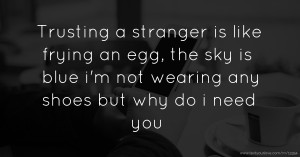 Trusting a stranger is like frying an egg, the sky is blue i'm not wearing any shoes but why do i need you.