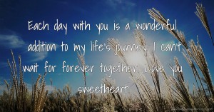 Each day with you is a wonderful addition to my life's journey. I can't wait for forever together. Love you sweetheart!