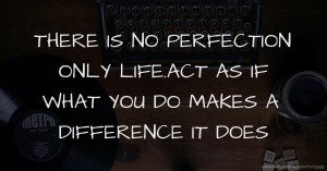 THERE IS NO PERFECTION ONLY LIFE.ACT AS IF WHAT YOU DO MAKES A DIFFERENCE IT DOES