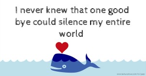 I never knew that one good bye could silence my entire world
