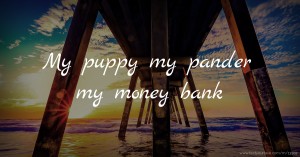 My puppy my pander my money bank