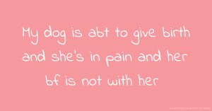 My dog is abt to give birth and she's in pain and her bf is not with her