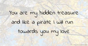 You are my hidden treasure and like a pirate I will run towards you my love.