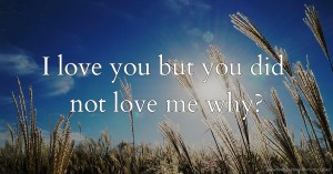 I love you but you did not love me why?