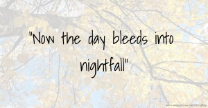 Now the day bleeds into nightfall