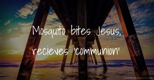 Mosquito bites Jesus, recieves 'communion'