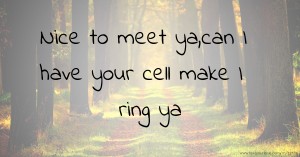 Nice to meet ya,can I have your cell make I ring ya