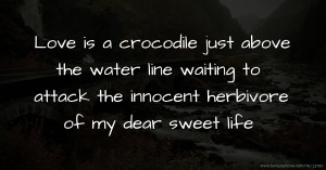 Love is a crocodile just above the water line waiting to attack the innocent herbivore of my dear sweet life.