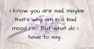 I know you are sad, maybe that's why am in a bad mood rn.... But what do i have to say...