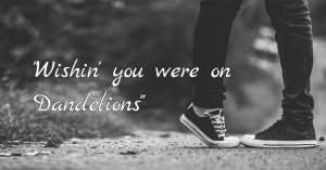 Wishin' you were on Dandelions