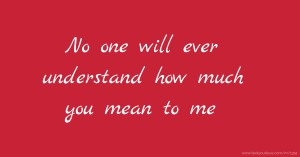 No one will ever understand how much you mean to me.