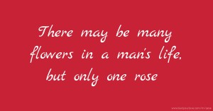 There may be many flowers in a man's life, but only one rose.