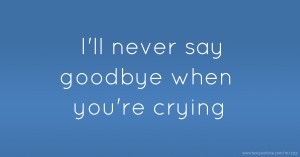 I'll never say goodbye when you're crying.