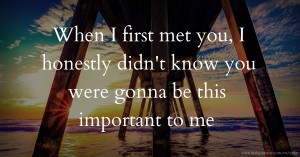 When I first met you, I honestly didn't know you were gonna be this important to me.