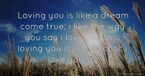 Loving you is like a dream come true; i like the way you say i love you too; loving you is just so cool; i love you so;