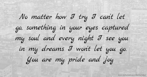 No matter how I try I can't let go, something in your eyes captured my soul and every night I see you in my dreams I won't let you go. You are my pride and joy