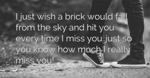 I just wish a brick would fall from the sky and hit you every time I miss you..just so you know how much I really miss you!