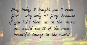 Hey baby, I bought you 11 roses. Girl - why only 11? Guy- because if you hold them up in the mirror you would see 12 of the most beautiful things in the world