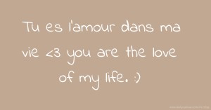 Tu es l'amour dans ma vie <3 you are the love of my life. :)