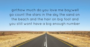 girl:how much do you love me boy:well go count the stars in the sky the sand on the beach and the hair on big foot and you still wont have a big enough number