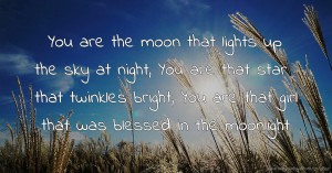 You are the moon that lights up the sky at night, You are that star that twinkles bright, You are that girl that was blessed in the moonlight.