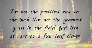 I'm not the prettiest rose on the bush  I'm not the greenest grass in the field   But I'm as rare as a four leaf clover