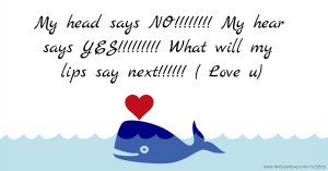 My head says NO!!!!!!!!  My hear says YES!!!!!!!!!  What will my lips say next!!!!!!                 ( Love u)
