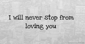 I will never stop from loving you.