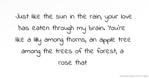 Just like the sun in the rain, your love has eaten through my brain. You're like a lilly among thorns, an apple tree among the trees of the forest, a rose that